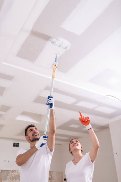 Best Ceiling Drywall Installation  in Shavertown, PA